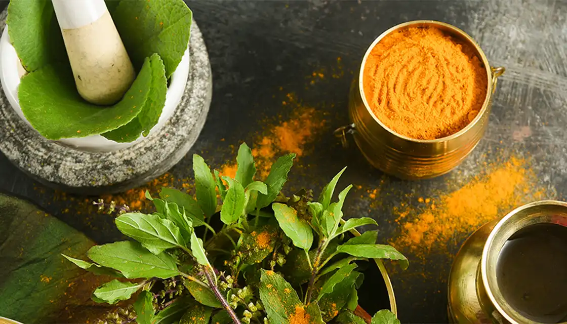 ワンネス・アーユルヴェーダとは