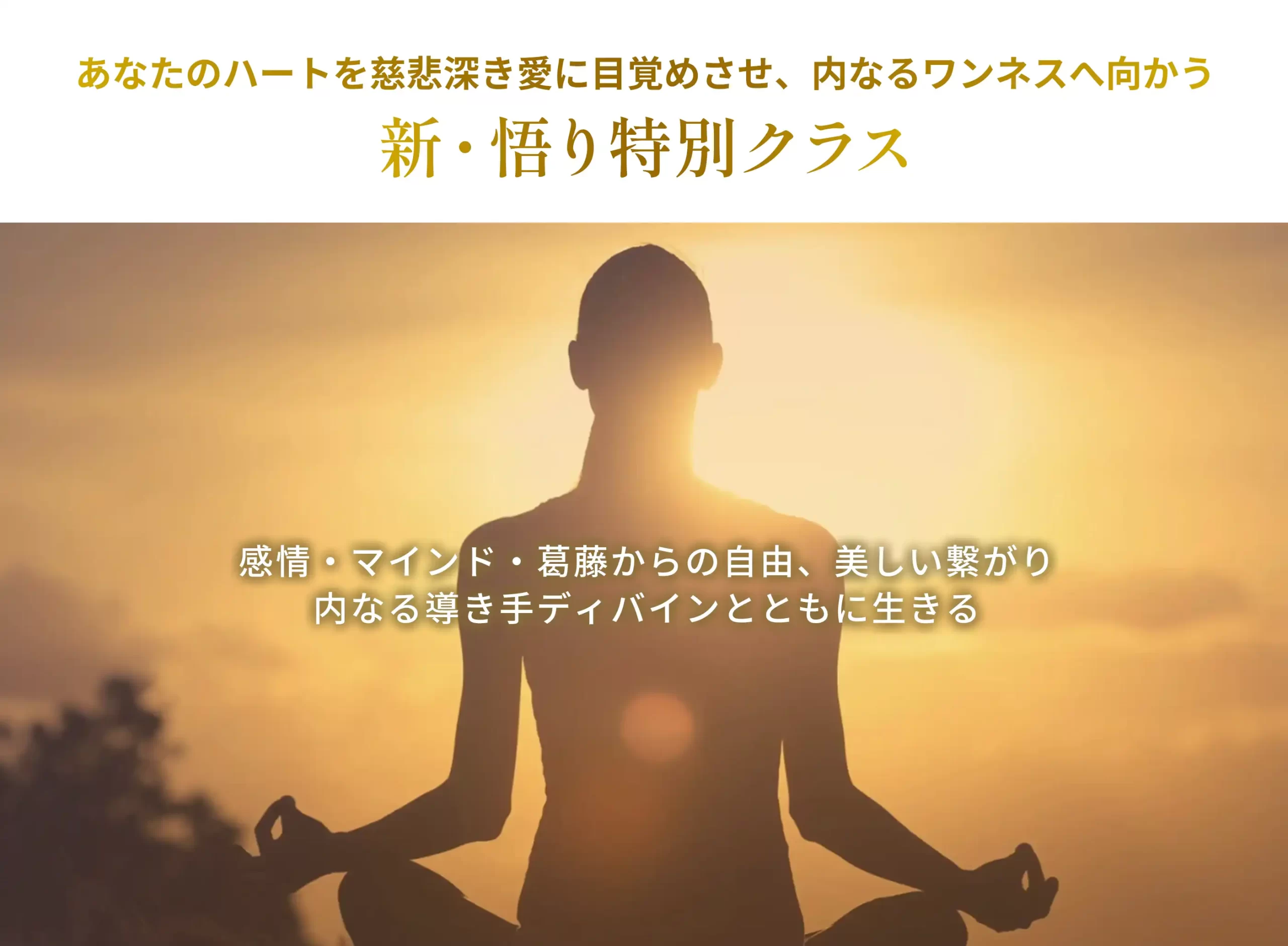 悟り特別クラス